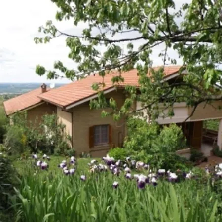 Spacious In With Solarium Holiday home *
